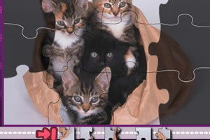 猫猫拼图