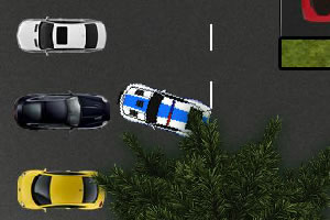 帮警察叔叔停车3