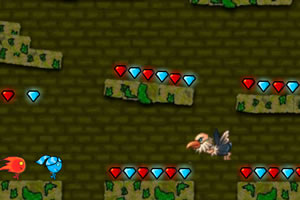 森林冰火人5双人版