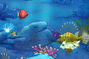 小鱼的成长之路