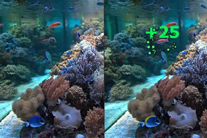 深海鱼类大找茬