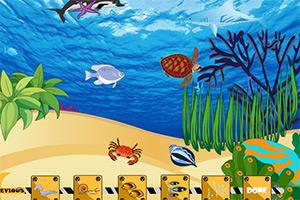 海底世界的模样