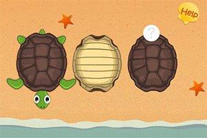 小乌龟猜猜看
