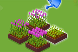 种植美丽的花朵