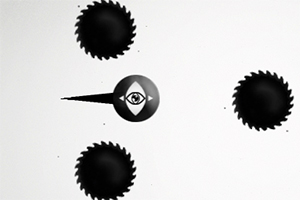 盲目的黑眼球选关版