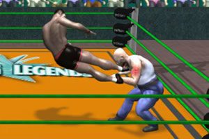 3D摔跤比赛