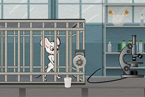 实验室老鼠逃生