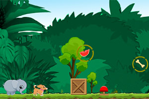 小动物回家无敌版