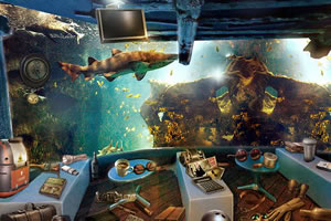 水族馆寻物之旅