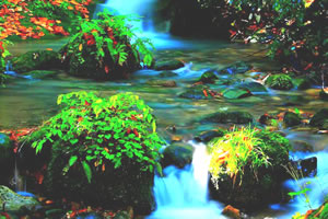 瀑布图片找东西