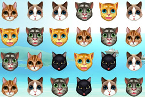 可爱猫咪对对碰