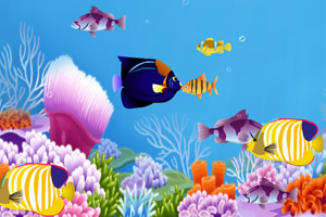 大鱼吃小鱼双人