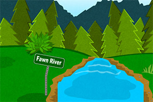 黄石公园野外生存