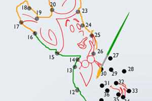 威尔玛点点连线