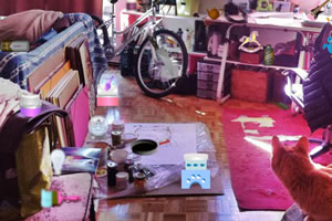 杂乱的储藏室寻物