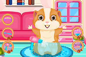 毛茸茸的小仓鼠