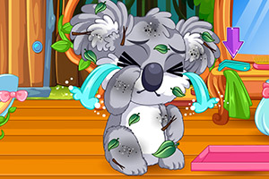 照顾可爱小考拉