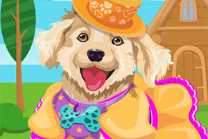 汪星人的新衣服