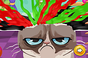 愤怒的猫美发沙龙