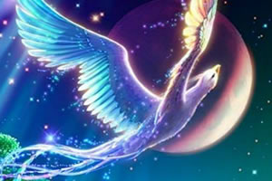 幻想天堂鸟找星星