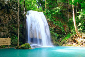 亚马逊森林逃生