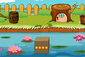 被困的松鼠逃生