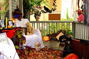 万圣节吓人的房间逃脱