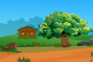 有趣的小乌龟逃脱