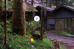 逃离森林荒废的村庄