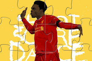 球星斯图里奇拼图