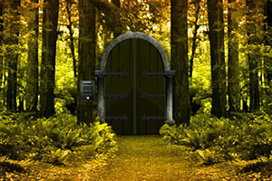 幽暗神秘森林逃脱2