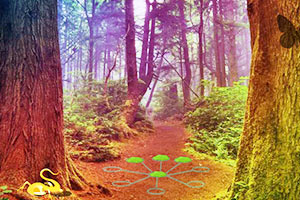 逃出幻想绿色森林