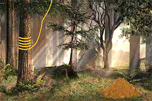 黑暗之森林逃脱