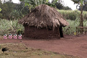 安达曼部落岛逃脱