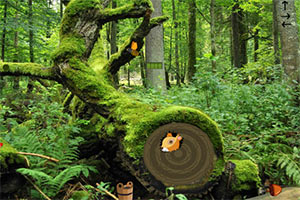 原始森林松鼠逃脱