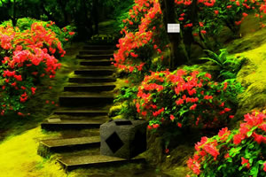 找到藏匿的皇冠