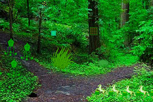 神奇的日光森林逃脱