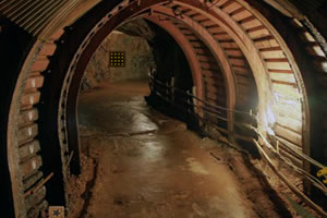 逃出国王的洞穴