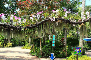 逃离鸟类保护区