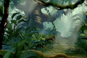 灌木丛林找图片