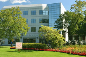 办公室草坪逃脱