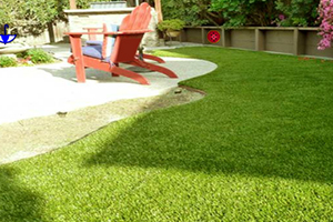 办公室草坪逃脱2