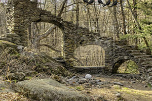 感恩节火鸡笼逃脱