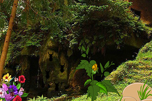 逃离眼镜猴出没地