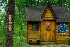 森林别墅大逃生