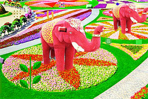 逃出花卉展示会