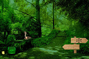 逃离野生动物森林