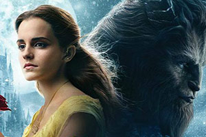 美女野兽找数字