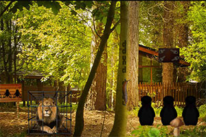 饥饿的狮子逃脱