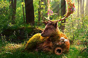 逃离麋鹿出没地